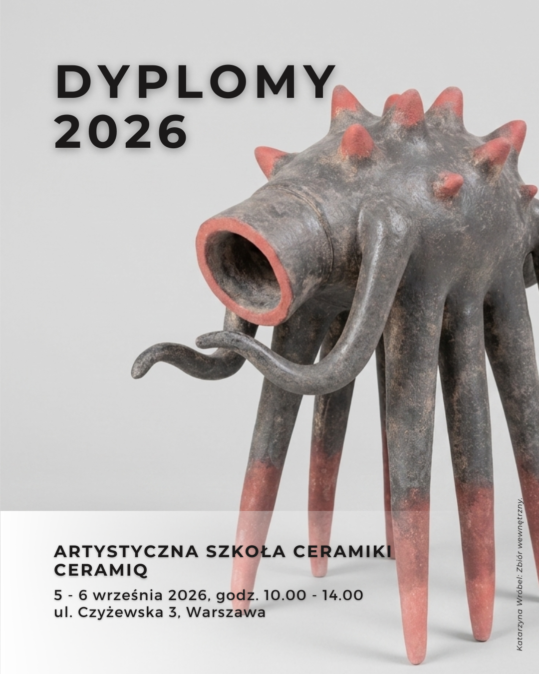 DYPLOMY 2026